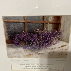 Celtic Images Spring Flowers, Ireland A Mother’s Blessing R Henderson