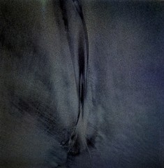 Harry CALLAHAN: Horseneck Beach, 1978 / Dye-transfer / Ptd 1980-1 / Stamped
