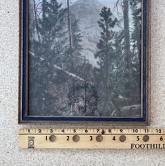 Vintage Hand Tint Oil Color Photo Yosemite CA. Sentinel North Dome 15”x11” VGC