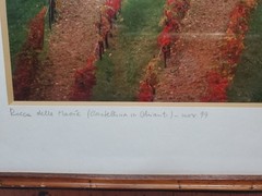 Signed Framed Photograph Vinyard In Chianti 1999 14″x17.5″ As Pictured