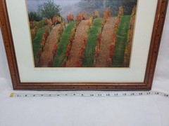 Signed Framed Photograph Vinyard In Chianti 1999 14″x17.5″ As Pictured