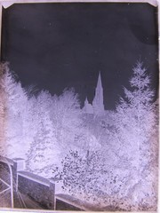 Freiburg Münster from Schloßberg around 1900 Large Hist. Glass Negative