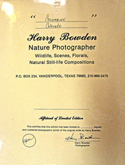 Harry Bowden «Columbine Colorado» Signed 8X10, Sealed, Matted 11X14 Frame Ready
