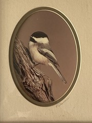 Rick Denomme Bird Photography Set of 4 Framed Cardinal Chickadee Titmouse Signed