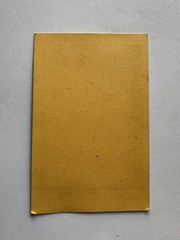 orig. CDV Litho Photo Photograph Sage History Theme Circa 1865 Lilli
