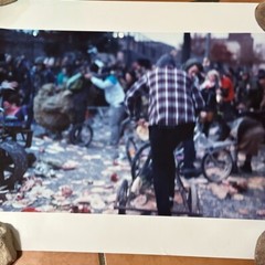 Janine Gordon Photograph 60″x72″ C-print Edition Grid Bike Kill Signed Fine Art