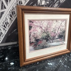 Cherry Blossom Photo Limited Edition # 4/89 Hand Signed Framed 16 1/2”x 13 1/2