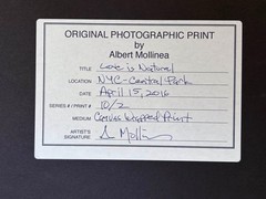 Albert Mollinea «Love is Natural» Fine Art Photo 2/10 — Central Park 2016