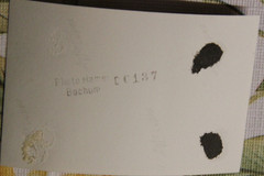 Photo 1935 woman girl 9x6cm Bochum school class women vintage AL