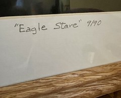 “Eagle Stare” Photograph 9/90 2001 framed under glass wall art Bald Eagle signed