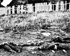 New Civil War Photo: Dead Soldiers on the Antietam – Sharpsburg – 6 Sizes!