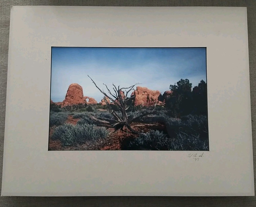 18×14 Matted Photo USA Desert Driftwood Rock Formation W.A.S. ’97