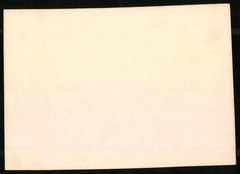 Photograph German South West Africa / Namibia, cattle of a farm in Voigtland