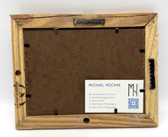 Michael Nocher Photography Lake Moutrie Charleston SC Framed Art 6.75″ x 8.5″