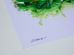 Farmers Market Greens – 17″ x 22″ Fine Art Photography Print – Food Photography
