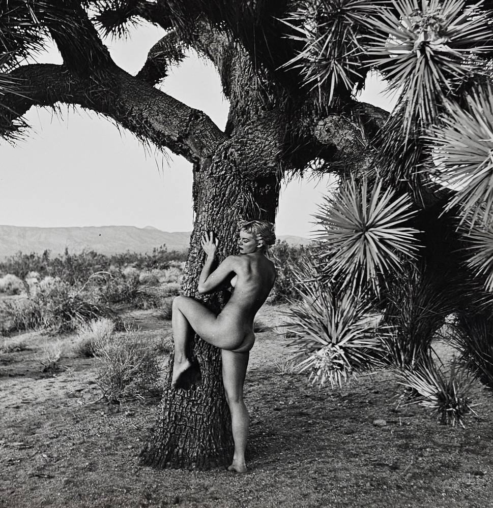Andre De Dienes Nude Woman & Joshua Tree Photo Silver Gelatin Print 1960, COA