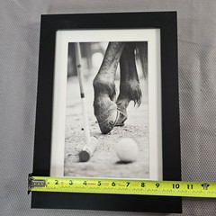 Framed B&W Photo Print Polo Hooves Luxury Real Estate Office 10.2″× 14.1″ READ⬇