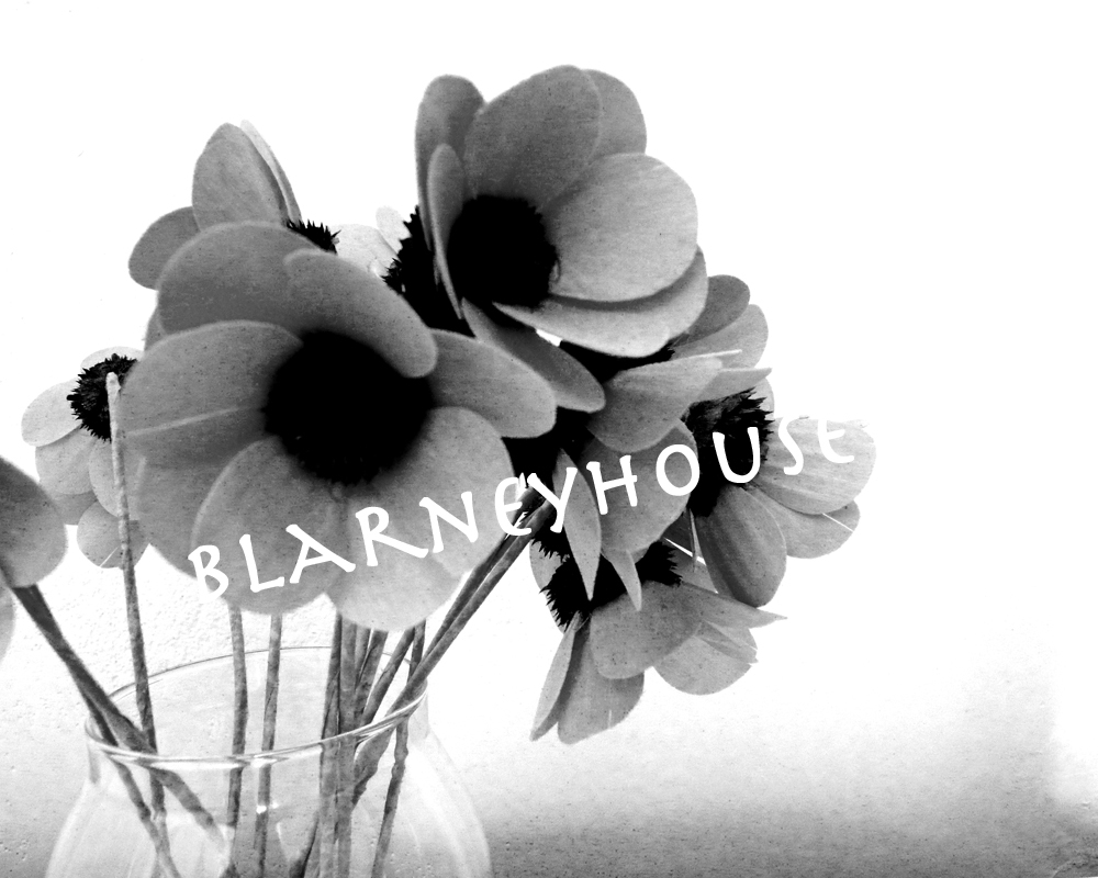 LOVELY BLACK & WHITE PHOTO OF ARTIFICIAL FLOWERS IN A VASE! BEAUTIFUL!!