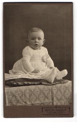 Photograph Wilhelm Wolf, Wurzen, Langestr. 9 b, cute toddler in white dress