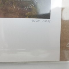 Disney Raya And The Last Dragon Collector’s Lithograph