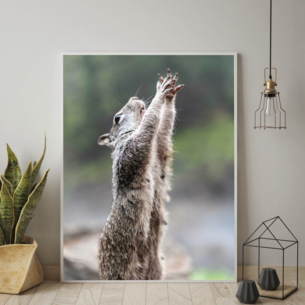 Cute Squirrel Praying Close Up Photo Wall Print, Wildlife Nature Photography