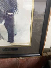 Tom Mussehl Lobo Love Wildlife “MAKE MY DAY” Wolf Photo Print w/ Name Plate