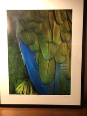 Art Photography Macro Large Digital Format Linda Jane Limited Mat/Framed Stellar