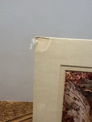 VTG Anne Geddes Baby Lot Of 6 8″X 10″ Picture In Matte 1993, 1995, 1996