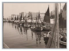 Gabicce Mare Italien Adria 1961 – Hafen Fischerboote – Altes Foto 1960er