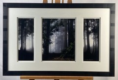 Original Misty Forest Triptych Nature Photography Art Signed Jean Setzer Framed