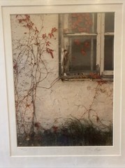 Tony Casper 16×20 Red Ivy Window Signed Numbered 47/275 Art Photography Print 92