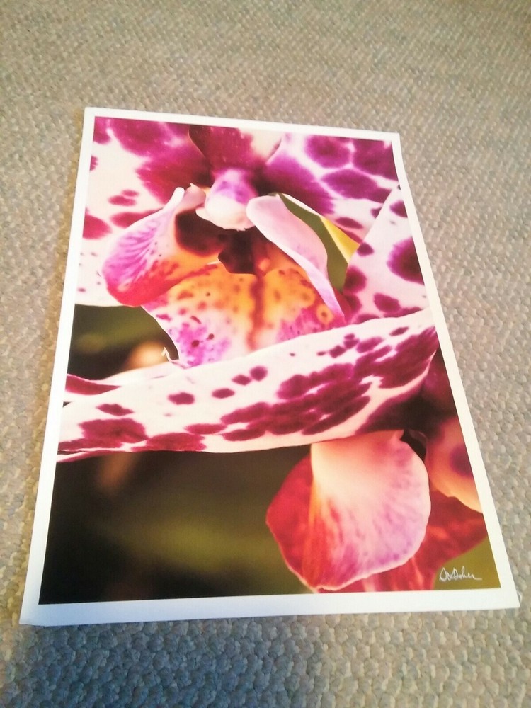 19×13 Digital Art Photograph Beautiful Flower Signed By Artist Floral NAture