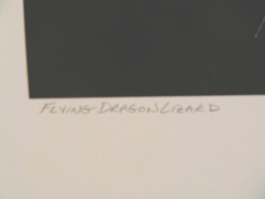 Original 2018 Charles Fendrock Flying Dragon Lizard Photograph