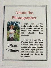 11 X 14 Matted Photo – signed by photographer Marie Whitton- MORNING GLORY