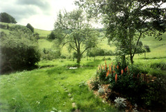 Stuart Klipper Garden
