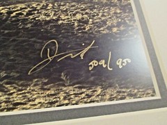 Don Schimmel Photo Signed & Numbered, Cowboys Roundup of Horses GET EM