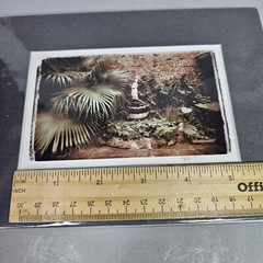 Ronnie Cardwell Courtyard Fountain Photograph Signed Print Louisiana Dreamy Palm
