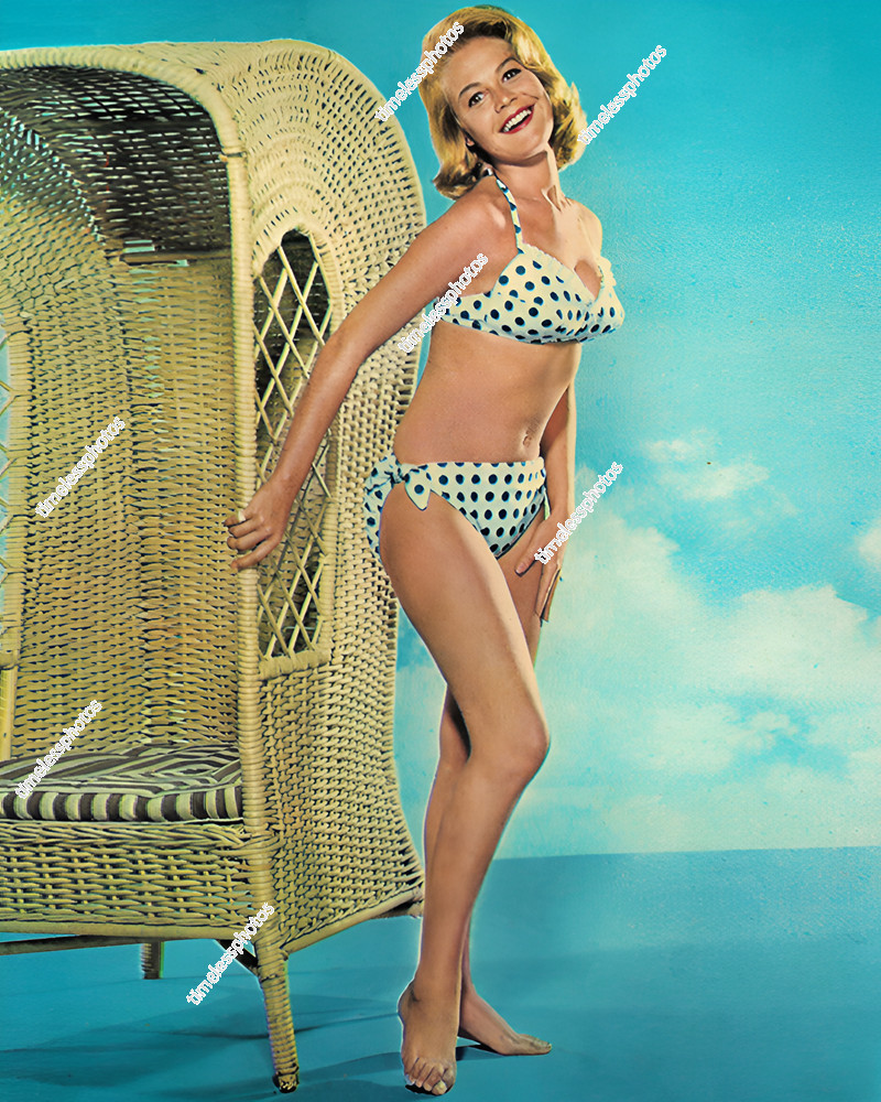 SANDRA DEE ACTRESS BIKINI 1963 8″x10″ Photograph