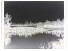 France Landscape Mare 1900 Photo Negative Glass Plate Vintage VR18L9N10
