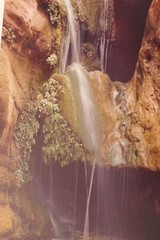 LARRY N. OLSON 1981 SIGNED PHOTOGRAPH LIMITED 2/100ELVES CHASIM GRAND CANYON