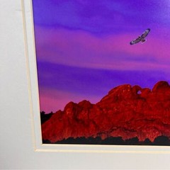 Debbie Yarra Nature’s Light Photography Print Hawk Spirit Soars in the Garden