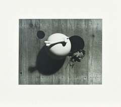 Herbert Bayer Nature morte, 1936 Gelatin Silver Print Size H 17.1 x W 19.2 22/40