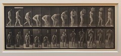 EADWEARD MUYBRIDGE authentic 1887 collotype ANIMAL LOCOMOTION PLATE 218 – lewitt