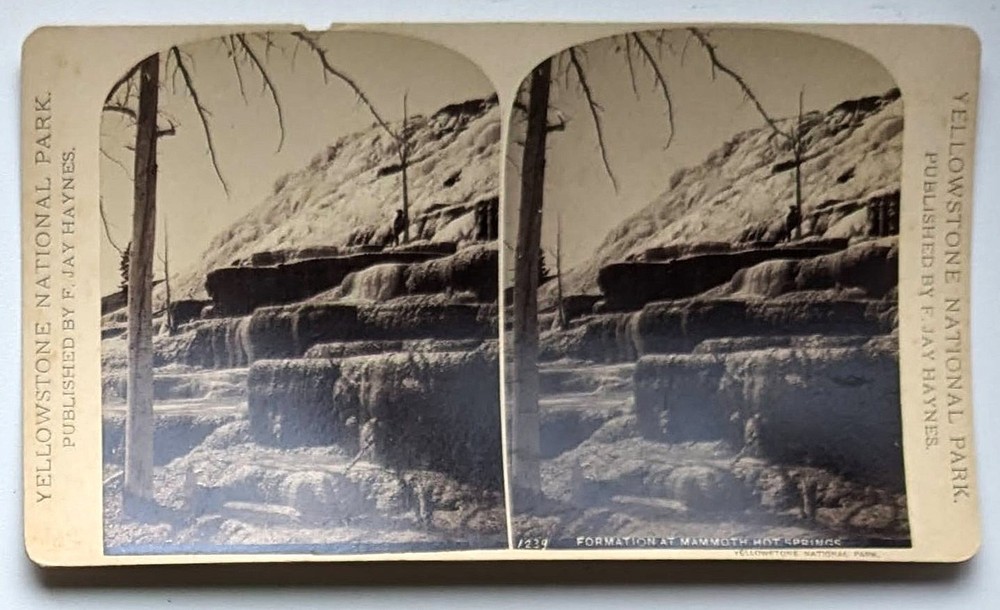 F Jay Haynes, Yellowstone / Formation at Mammoth Hot Springs 1239 Stereoview