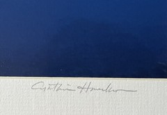 Artist Cynthia Hankins Signed Photo & Matte Turtle Cleaning Station Kona, Hawaii