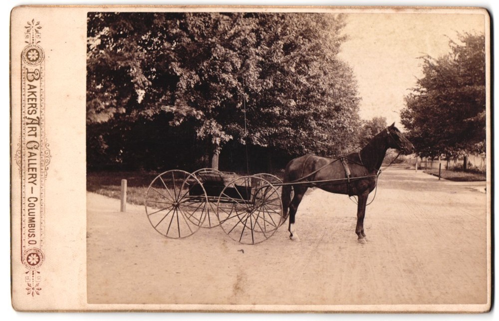 Photograph Baker’s Art Gallery, Columbus / OH., American Buggy and Trotter