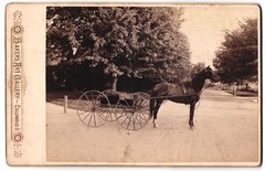 Photograph Baker’s Art Gallery, Columbus / OH., American Buggy and Trotter