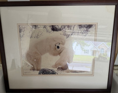 Framed Matted Polar Bear Wildlife Color Landscape Photograph Animals Nature
