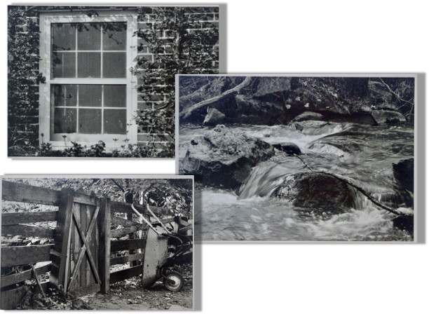 Lot of 3 B&W Photo 7 x 5- mat 14 x 12- Paddock Fence Stream Ivy Country Charm