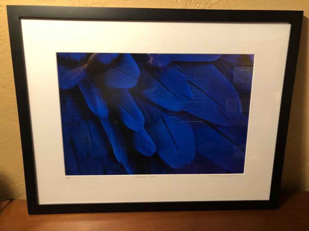 Art Photography Macro Large Digital Format Linda Jane Limited Mat/Framed Stellar